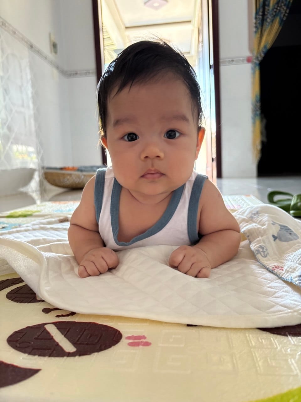 Bức thư gửi con: Nho nhã ngày thơ bé