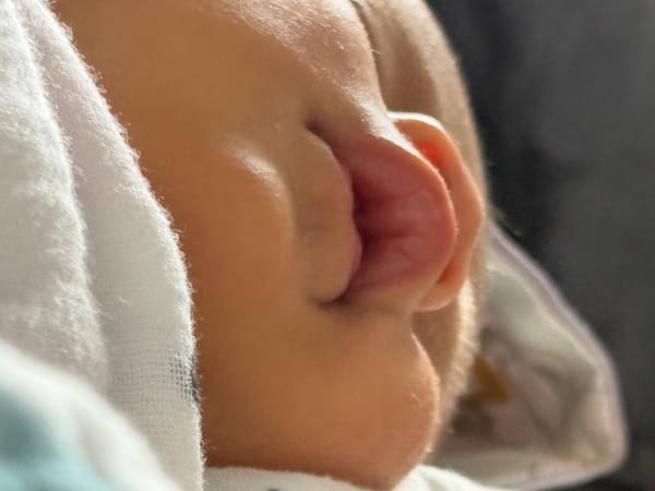 Gói ghém yêu thương vào bờ môi chúm chím của Mật