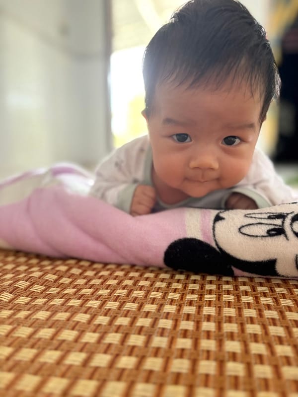 Bức thư gửi con: Thành tựu đầu đời của chú Mật nhỏ